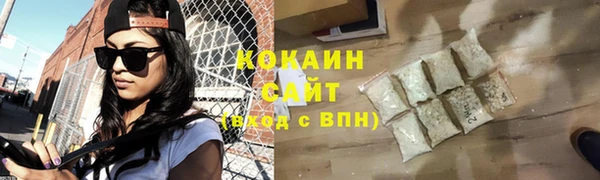 2c-b Ельня