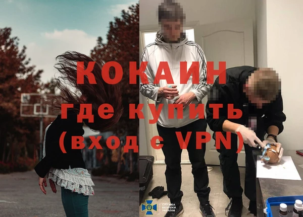 2c-b Ельня