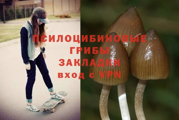 2c-b Ельня