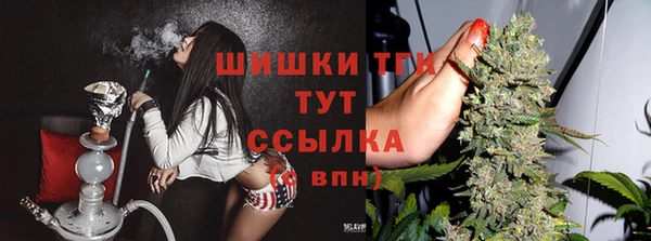 2c-b Ельня