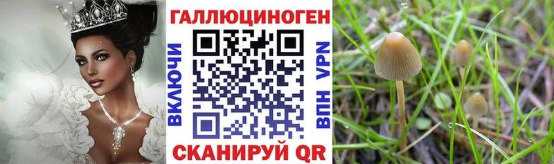 Галлюциногенные грибы Psilocybe  KRAKEN ONION  Благовещенск 
